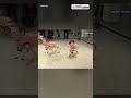 Elon Musk &amp; Kim Jong Un as ROBOT DOGS! Inside Berlin’s Viral AI Art