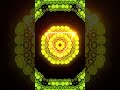 Detox Frequencies Relaxation  #ambientmusic #relaxingmusic #sleepmusic