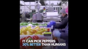 Using robots for sorting fruits and vegetables.