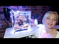 сколько стоит морской аквариум?