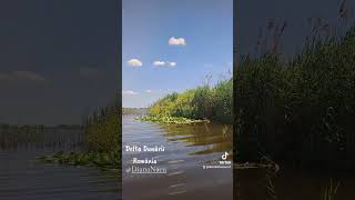 Delta Dunării #travel #romania #calatorii #romaniamagica #pasiune #turism #europa #susromania