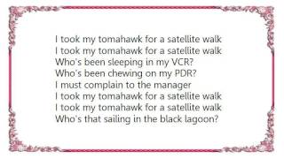 John Cale - Satellite Walk Lyrics