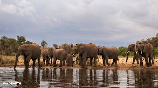 LIVE at the waterhole - 13 August 2026