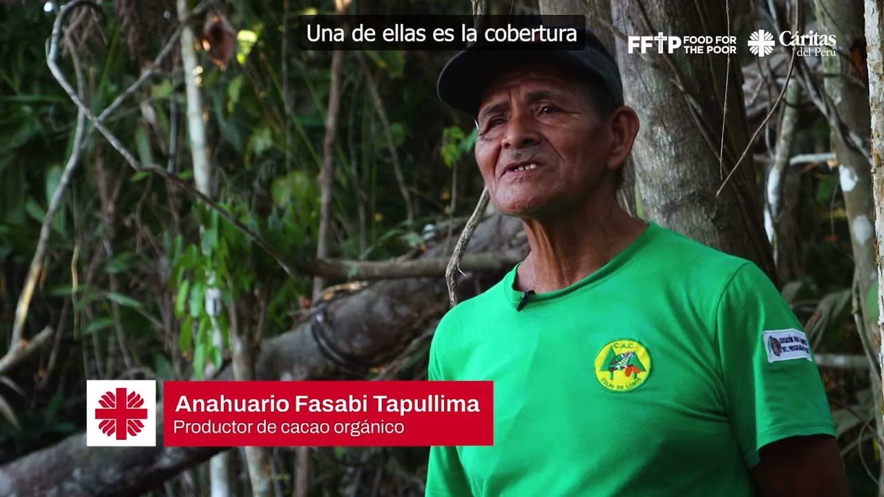 Proyecto de cacao orgánico aromático en Ucayali