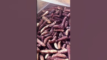 Chuối Hột rừng Tây Nguyên của cơ sở Hồng Khang . 🍌zalo:0978890243. shopee.vn/nongsansachhongkhang