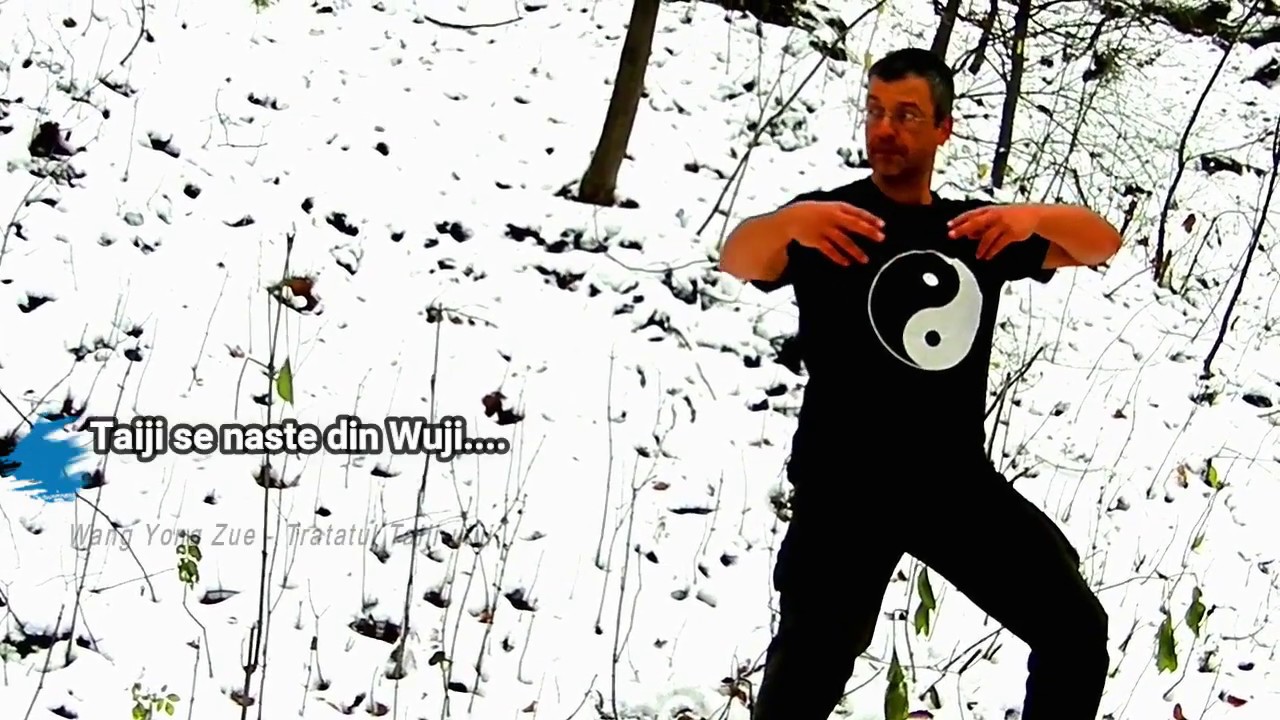 De la Qigong la Taiji si Fa jing ... in zapada - Cristian Laiber aiki promotora