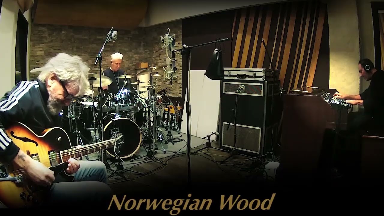 Norwegian Wood - @meccoguidi ,Toti Panzanelli , Danilo Brugnini 