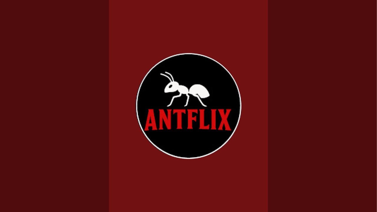 AntFlix is live - Feeding Ants