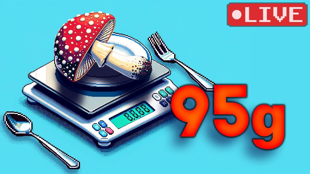 Tripping On FRESH Magic Mushrooms