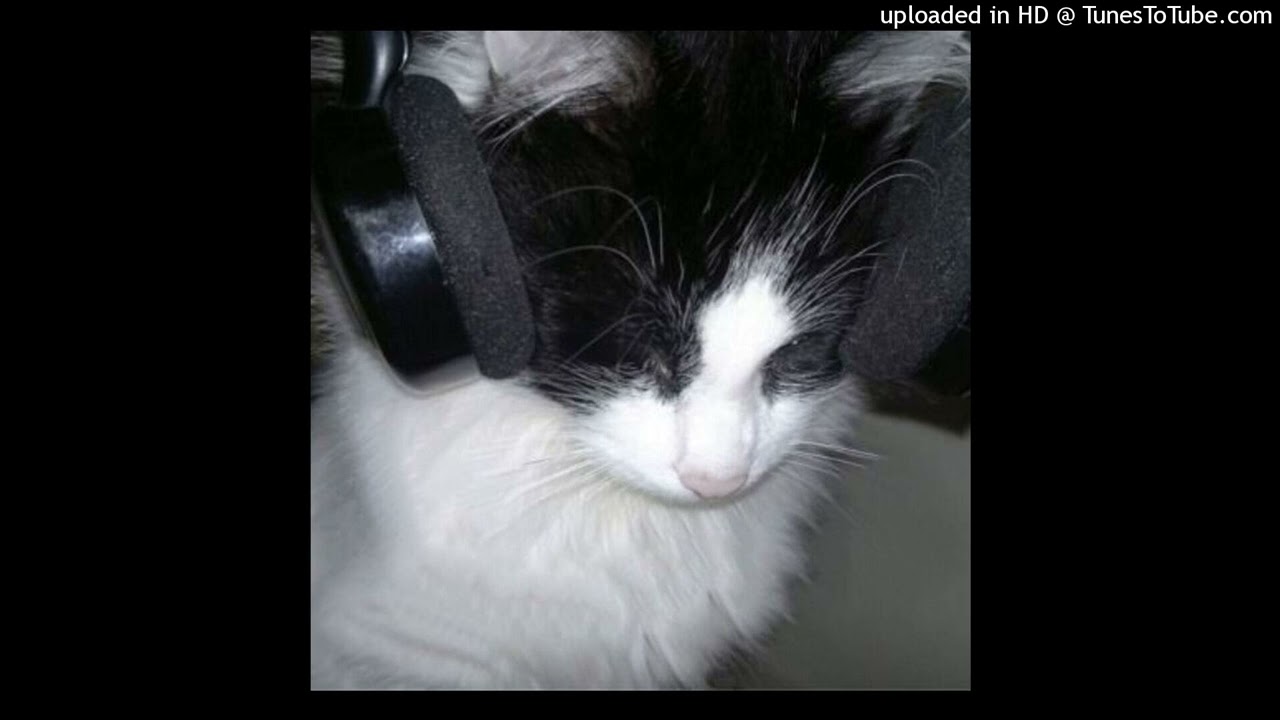 [FREE] untiljapan vocal chop sample type beat - never