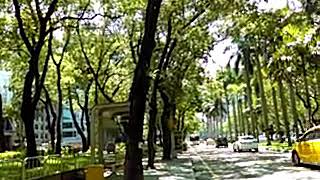 仁愛幹線(由263轉型為一階幹線公車路廊)往南港花園社區路線公車搭乘記錄與實況攝影(20180808)幸安國小→市政府(市府)