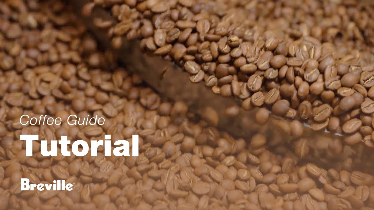 Gallery Detail: Tutorials Choosing The Right Beans
