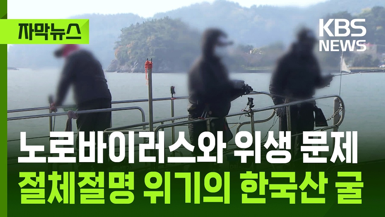 [자막뉴스] 노로바이러스와 위생 문제…절체절명 위기의 한국산 굴 / KBS 2026.03.03.