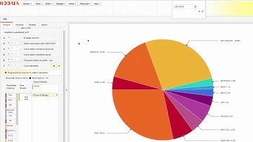 1010data Demo: Creating Dynamic Applications with Visible Variables