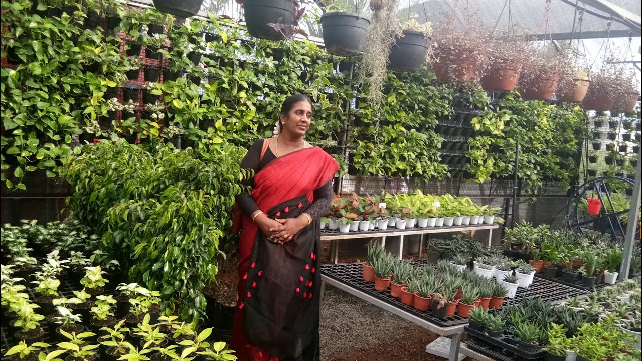 Madurai Nursery Garden /Indoor Plants /tamil YouTube