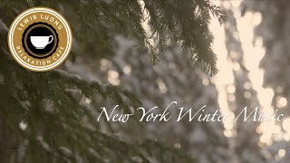 Chill Winter Music New York Vibes: Relaxing Winter Music for Cold Nights