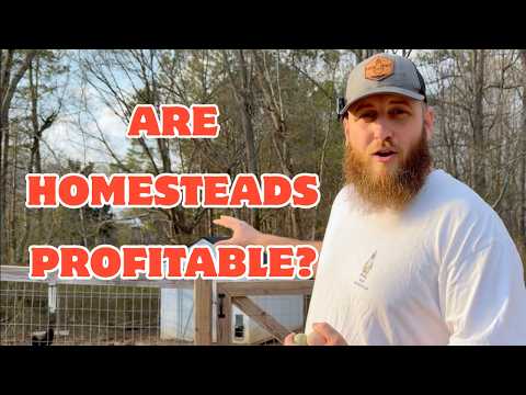 It's Time To Talk About Homestead Finances thumbnail