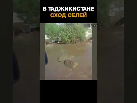 В Таджикистане из-за схода селей погибли 13 человек