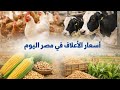 أسعار الأعلاف اليوم في مصر 2026 تحديث فوري لكل أنواع الأعلاف أسعار علف الدواجن والمواشي في مصر