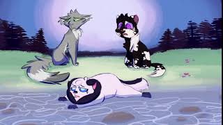 Mt Washington (Warriors, Needletail and Violetshine) Part 2