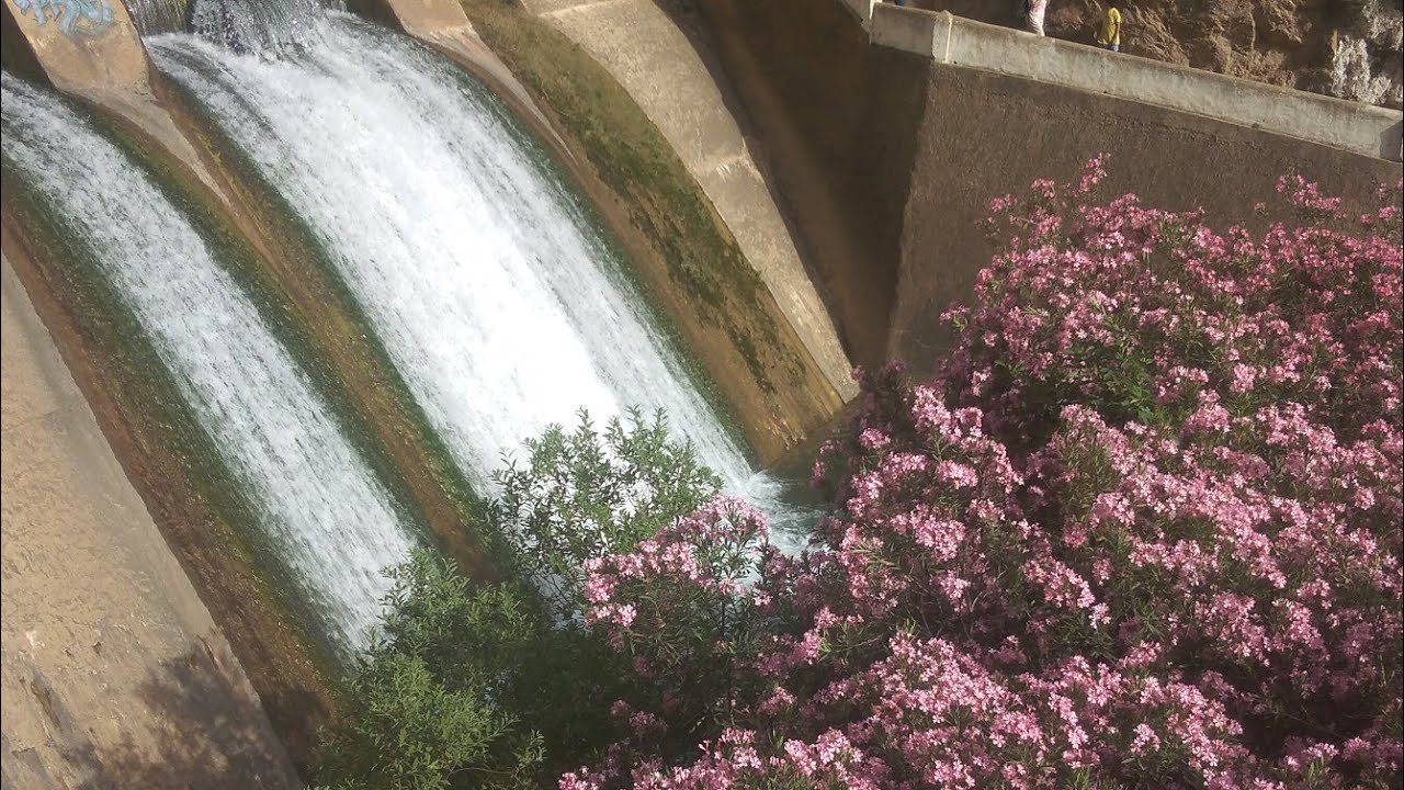 داز نهار غزال فأشقور نشاط حتى شاط 😜 😜 😜 😜