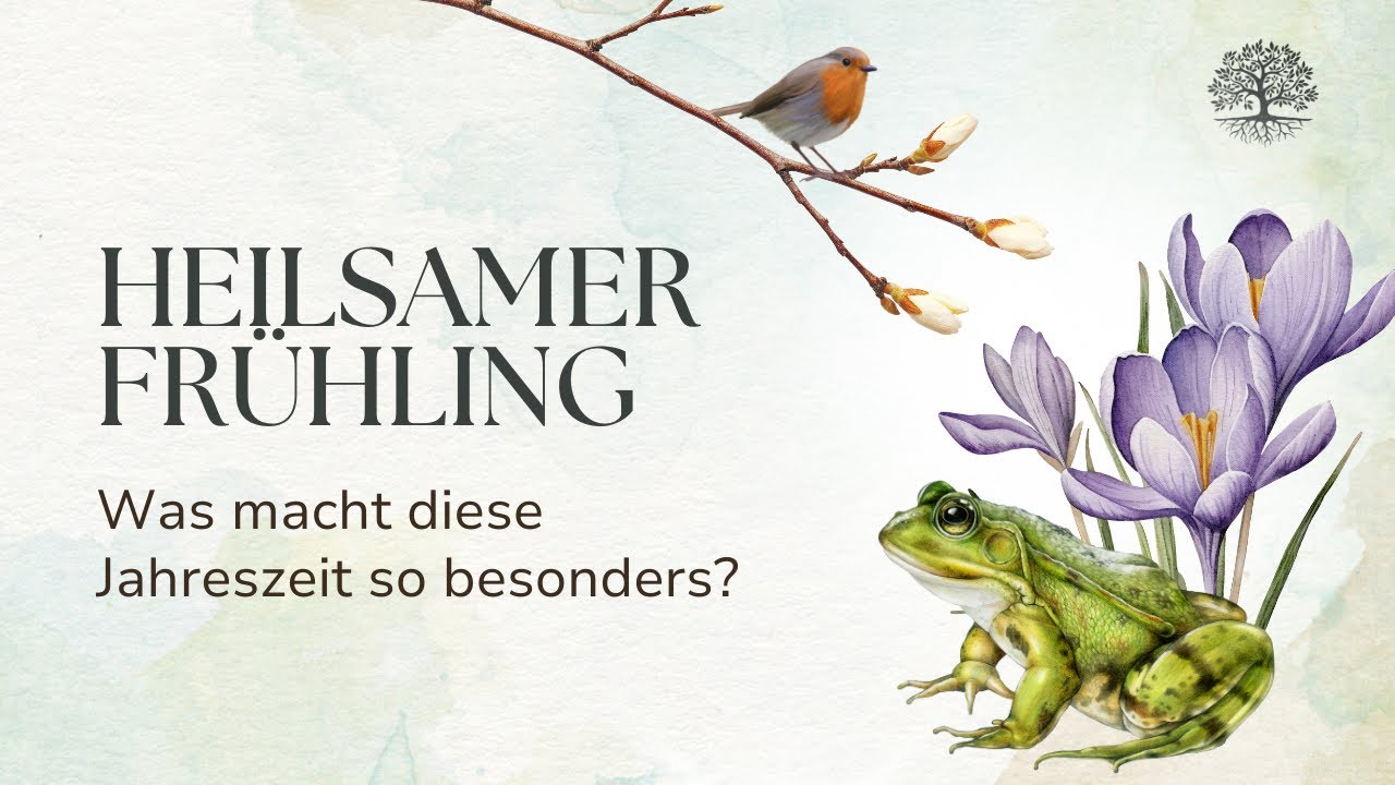 Wie der Frühling deine Heilung entfacht – nutze diese Jahreszeit!