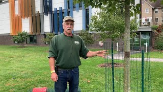 Gardener's Almanac: Oct  12  Installing Deer Tree Protection