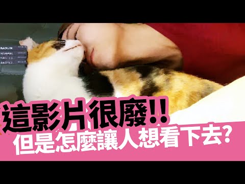 🐈子喵喵🐈子喵喵的日常，快來看這個人平常都在幹嘛！警告⚠️內有強抱貓咪畫面！