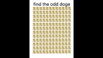 find the odd doge: Part 2