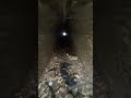 Encontramos unos tuneles o rutas de escape 😳😱 #exploracionesurbanas #urbex #tuneles #túnel