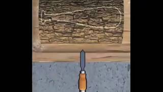 Wood turning || 3D design || Prototype making || Spray painting || Episode 3!!