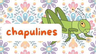 Chapulines |  A Tasty Mexican Food Adventure