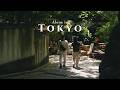A Different Side of Tokyo | Jindaiji Temple & Botanical Garden Day Trip