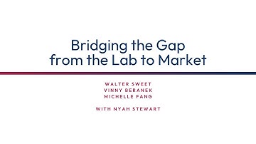 Panel: Bridging the Gap from the Lab to Market