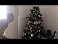 Family Find Snake Hiding In Christmas Tree