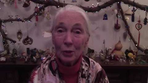 Jane Shares New Year's Greetings