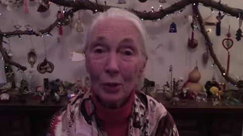 Jane Shares New Year's Greetings