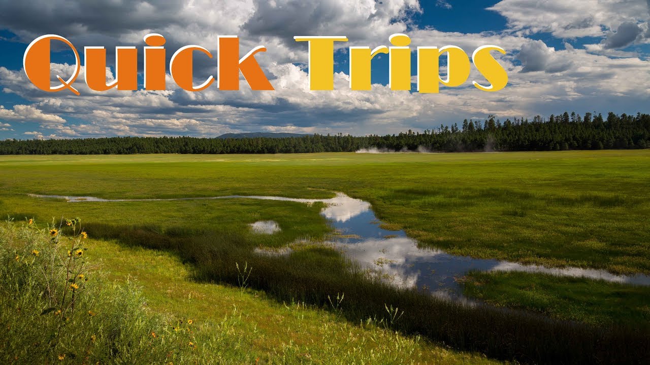 Marsh Wetlands Landscape | Quick Trips Photography Adventures | On Location 2017