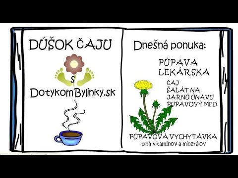 Video: Magické Vlastnosti žltej Púpavy