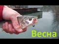 Днестр, Вадул-луй-Водэ, высокая вода, весна, рыбалка на спиннинг, разнорыбица...