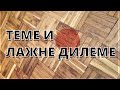 ТЕМЕ И ЛАЖНЕ ДИЛЕМЕ-НСБИ