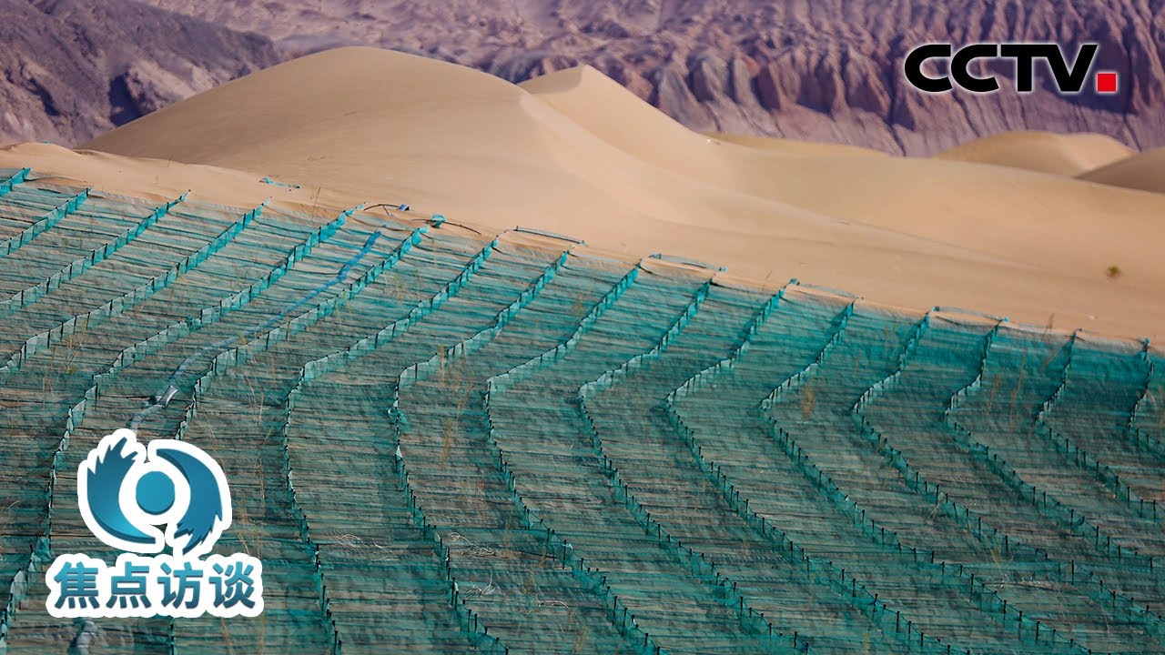 绿色长城合拢！380公里锁边林带让两大沙漠“分手” | CCTV「焦点访谈」20250617