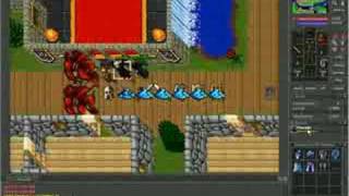 Tibia server 8.1 , GM Hell Lord
