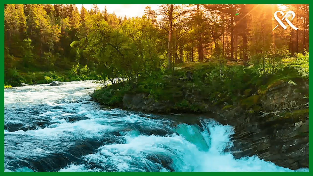 Rentoutusharjoitus - Luppohetki