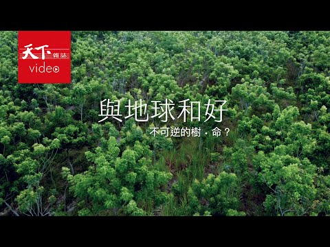 【與地球和好】第一集 砍46萬棵樹種太陽能板 這算綠能永續嗎？