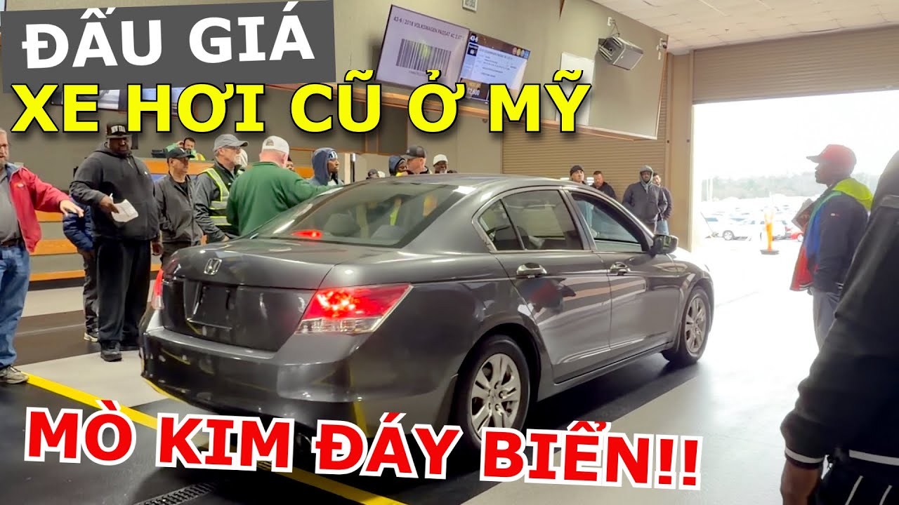 QUÁ TRÌNH ĐẤU GIÁ XE HƠI CŨ Ở MỸ VÀ MÒ KIM ĐÁI BỂ TÌM XE NGON Ở BÃI XE CŨ CẢ 100,000 CHIẾC