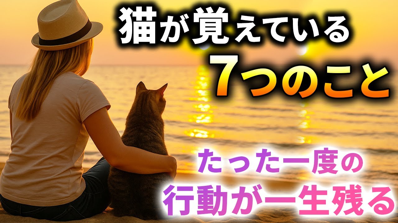 【後悔する前に】猫が一生覚えてる「たった7つのこと」