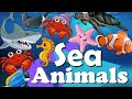 [Animals #4] Animals Under Sea | 20 Sea Animals | For Kids | Den-Den Learn