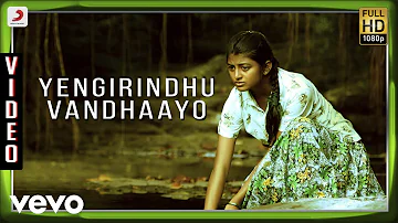 Kayal - Yengirindhu Vandhaayo Video | Anandhi, Chandran | D. Imman