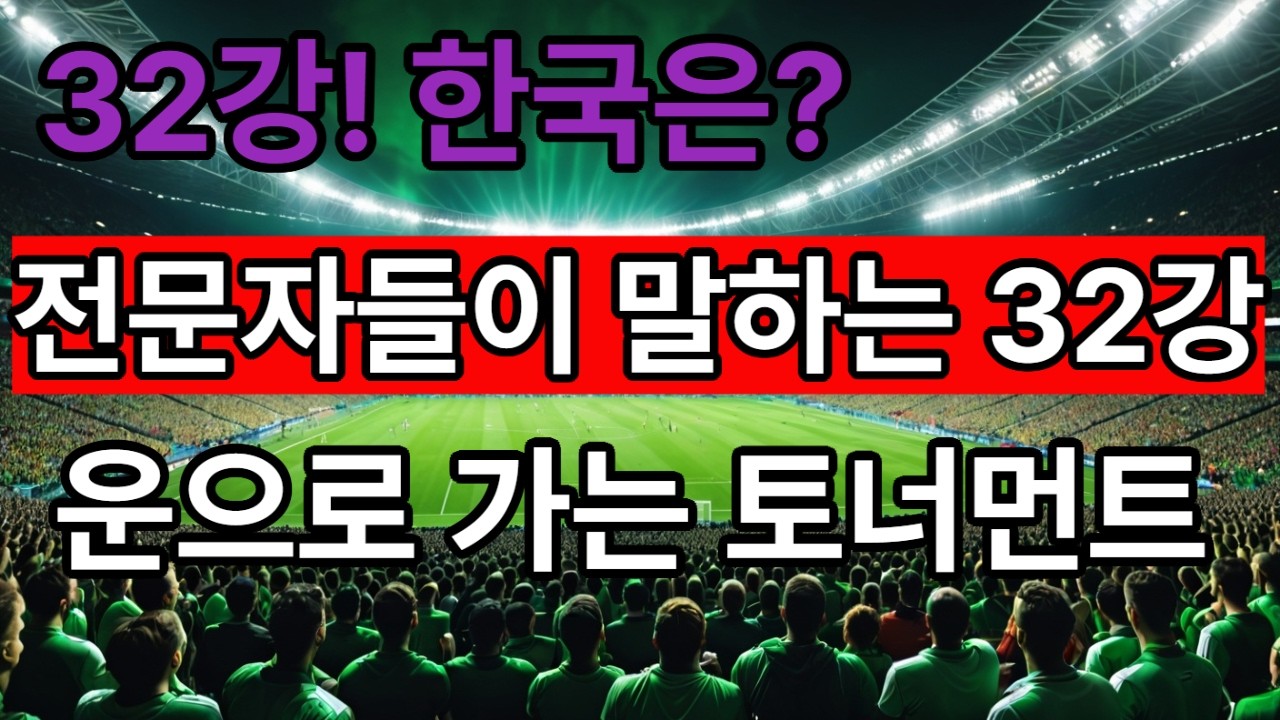 전문가들이 말하는 32강 제도(again2002 조1위)